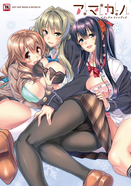 【単行本】アマカノビジュアルファンブック❤ピロ水｜評価5.00