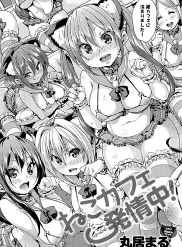 【単話】ねこカフェ発情中！（単話）❤丸居まる｜評価4.80