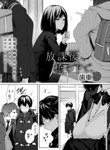 【単話】放課後、橋の下で、（単話）❤歯車｜評価4.75