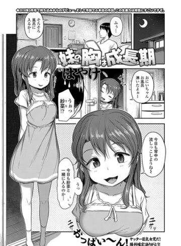 【単話】妹の胸は成長期（単話）❤はやけ｜評価5.00